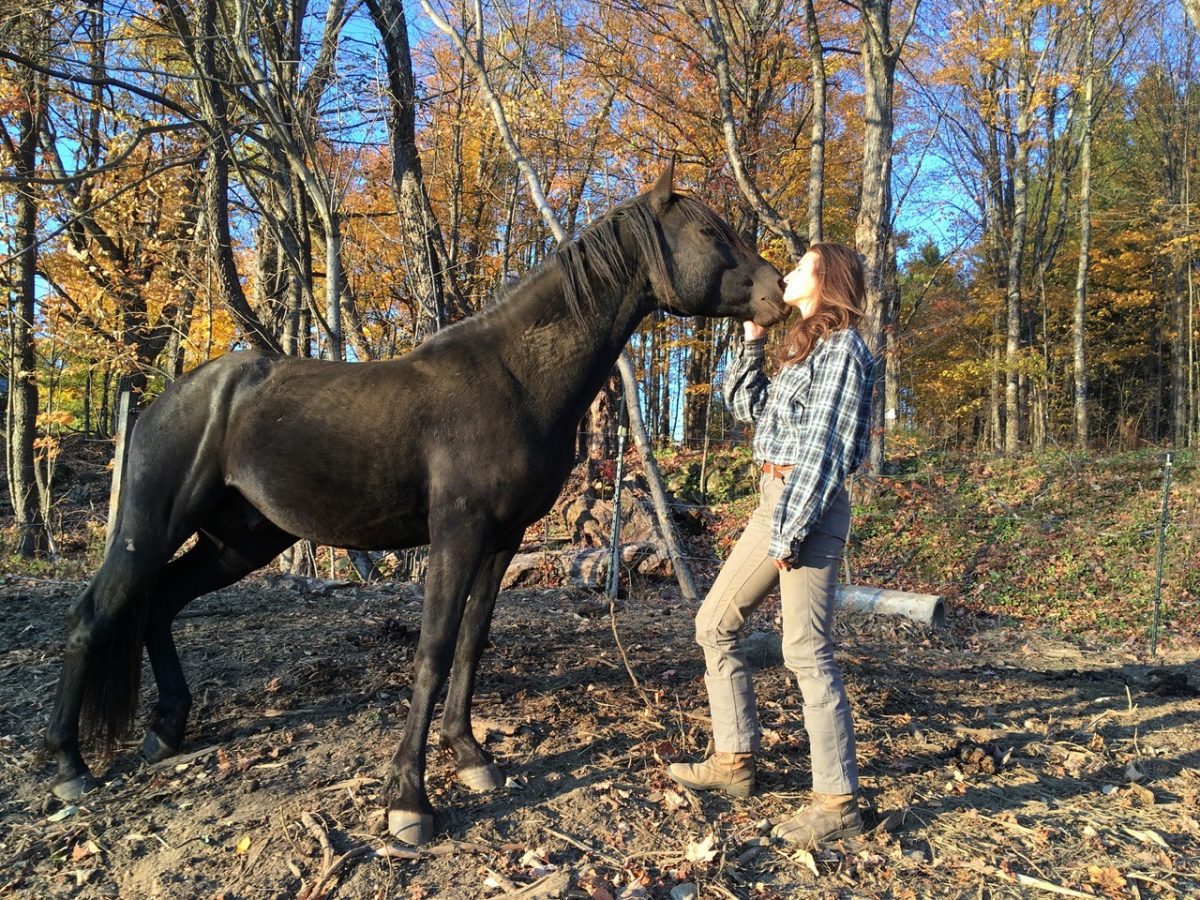 Mountain Khakis Camber 107 Pants – Great, Reliable Work Pant