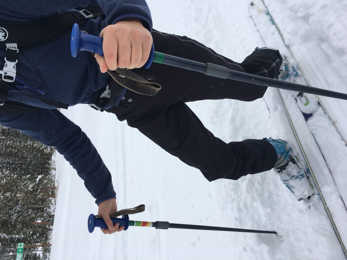 Patagonia Triolet Pant