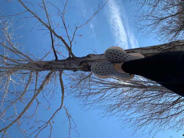 Kane Revive Shoe Review – Sustainable and Fun