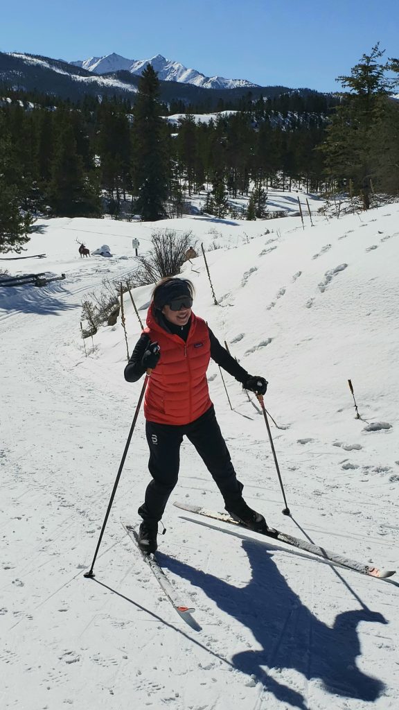 Swix Quantum 4 Ski Pole