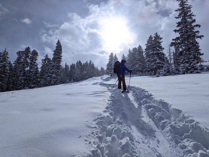 TSL Outdoors Connect Carbon 5 Poles – Adjustable Carbon Poles for All Seasons