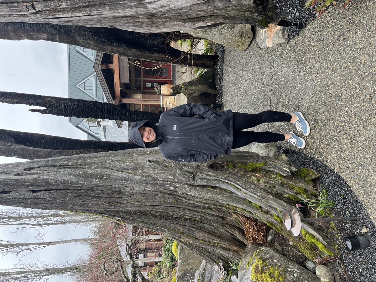 Mountain Hardwear Minimizer GORE-TEX Paclite Plus Jacket – Lightweight and Durable Protection